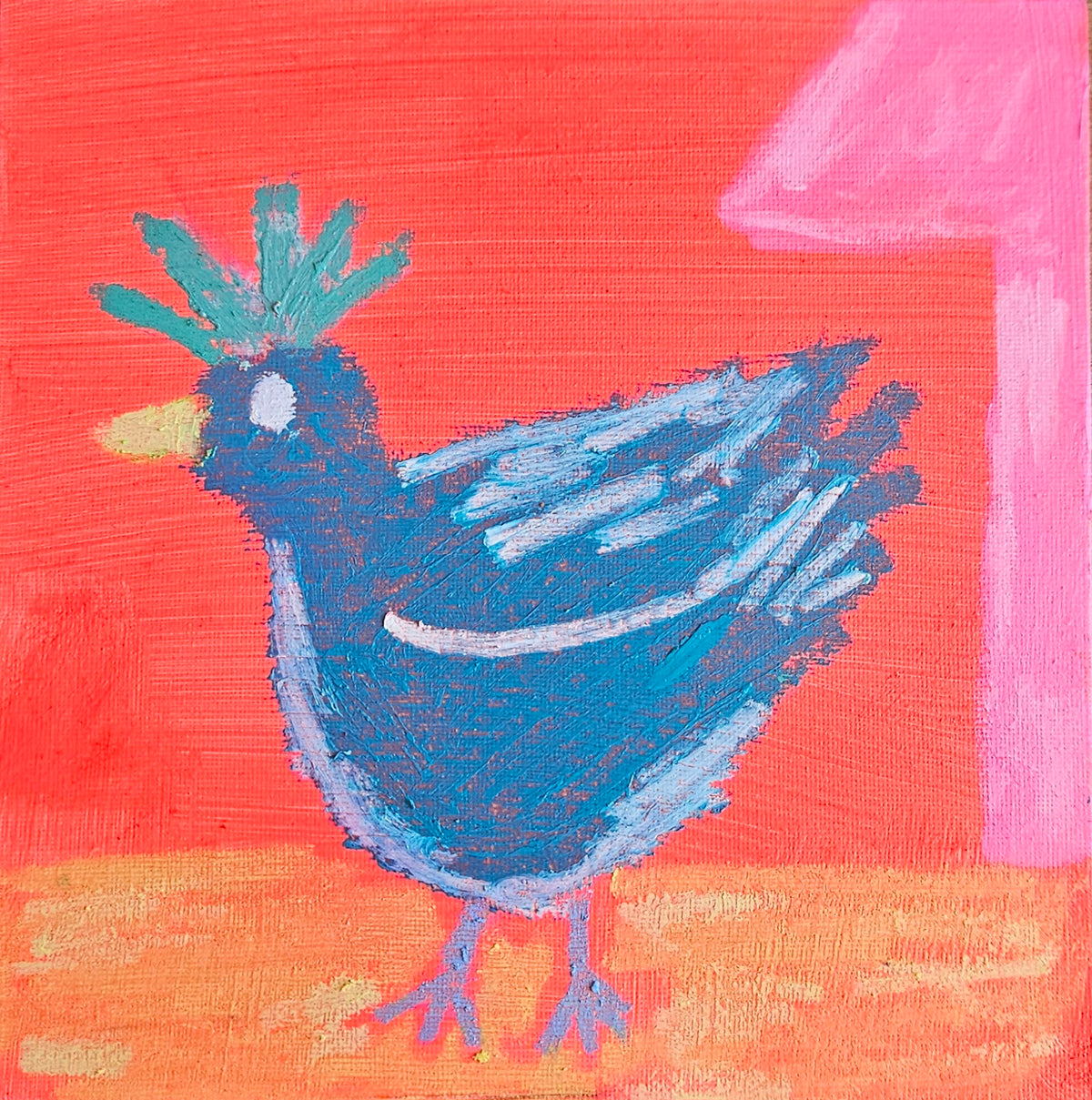 Feathers in the Morning Light